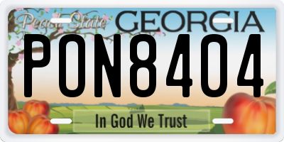 GA license plate PON8404