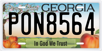 GA license plate PON8564