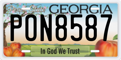 GA license plate PON8587