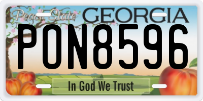 GA license plate PON8596