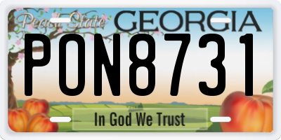 GA license plate PON8731