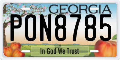 GA license plate PON8785