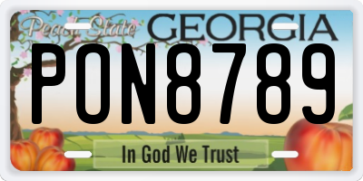 GA license plate PON8789