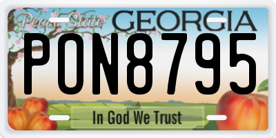 GA license plate PON8795
