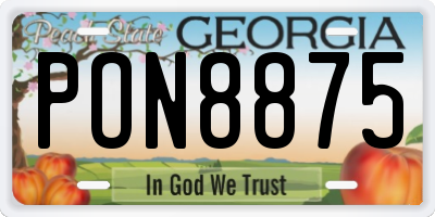GA license plate PON8875