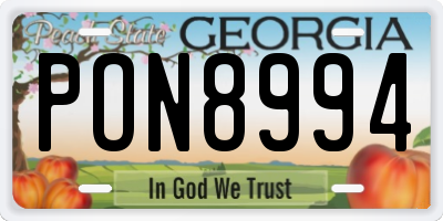 GA license plate PON8994
