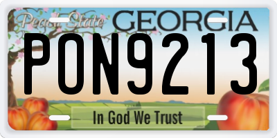 GA license plate PON9213