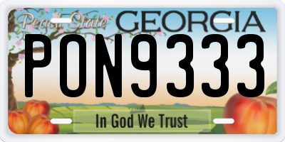 GA license plate PON9333