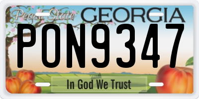 GA license plate PON9347