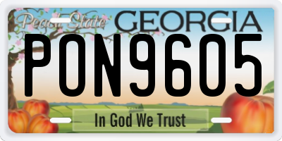 GA license plate PON9605