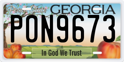 GA license plate PON9673