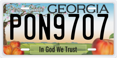 GA license plate PON9707