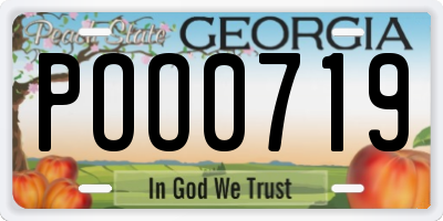 GA license plate POO0719