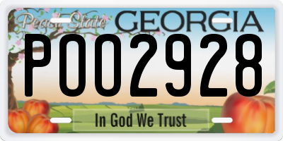 GA license plate POO2928