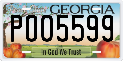 GA license plate POO5599