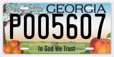 GA license plate POO5607