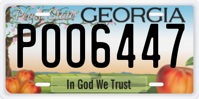 GA license plate POO6447