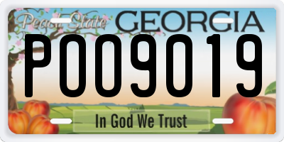 GA license plate POO9019