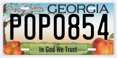 GA license plate POP0854