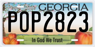 GA license plate POP2823
