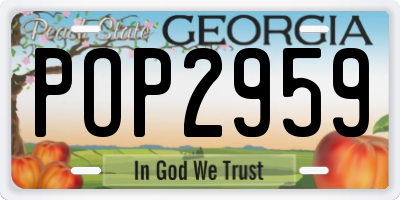 GA license plate POP2959