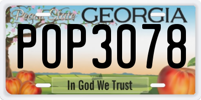 GA license plate POP3078