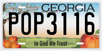 GA license plate POP3116
