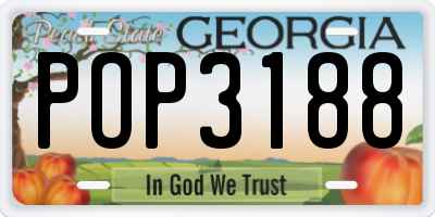 GA license plate POP3188