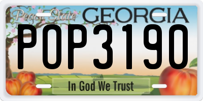 GA license plate POP3190