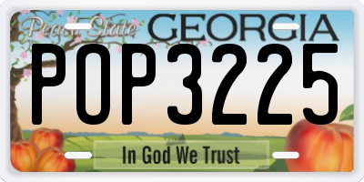 GA license plate POP3225