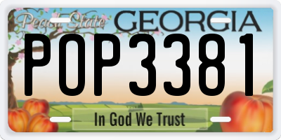 GA license plate POP3381