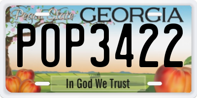 GA license plate POP3422