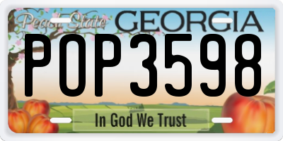 GA license plate POP3598