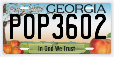 GA license plate POP3602