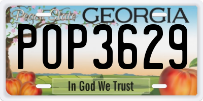 GA license plate POP3629