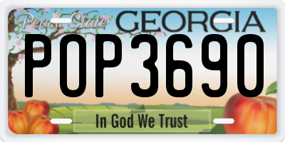 GA license plate POP3690