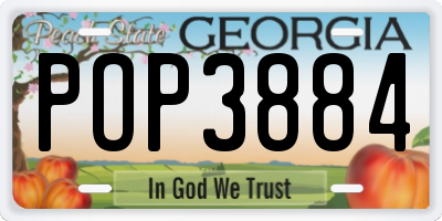 GA license plate POP3884