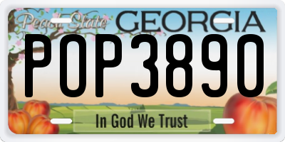 GA license plate POP3890