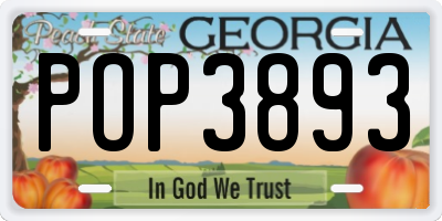 GA license plate POP3893