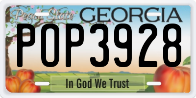 GA license plate POP3928