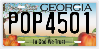 GA license plate POP4501