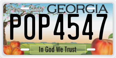 GA license plate POP4547