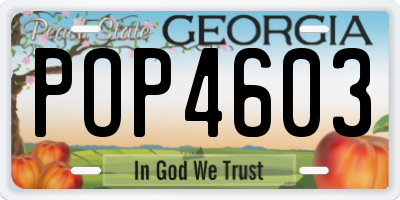 GA license plate POP4603