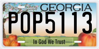 GA license plate POP5113
