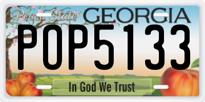GA license plate POP5133