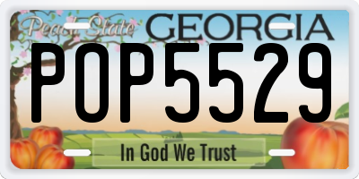GA license plate POP5529