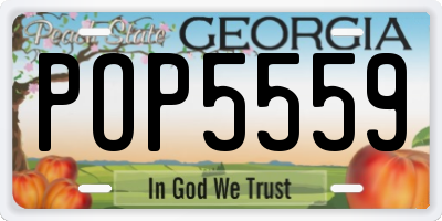 GA license plate POP5559