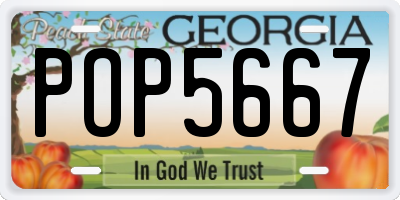 GA license plate POP5667