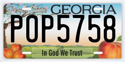 GA license plate POP5758