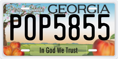 GA license plate POP5855